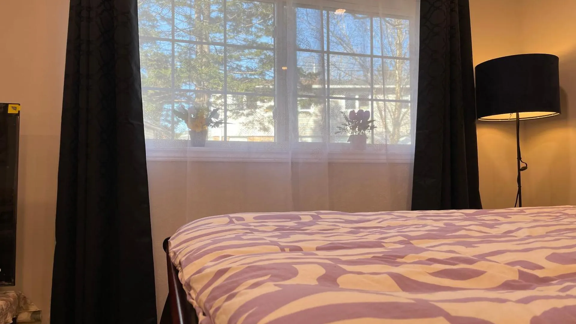 Quiet And Private Bachelor Unit Apartment Halifax