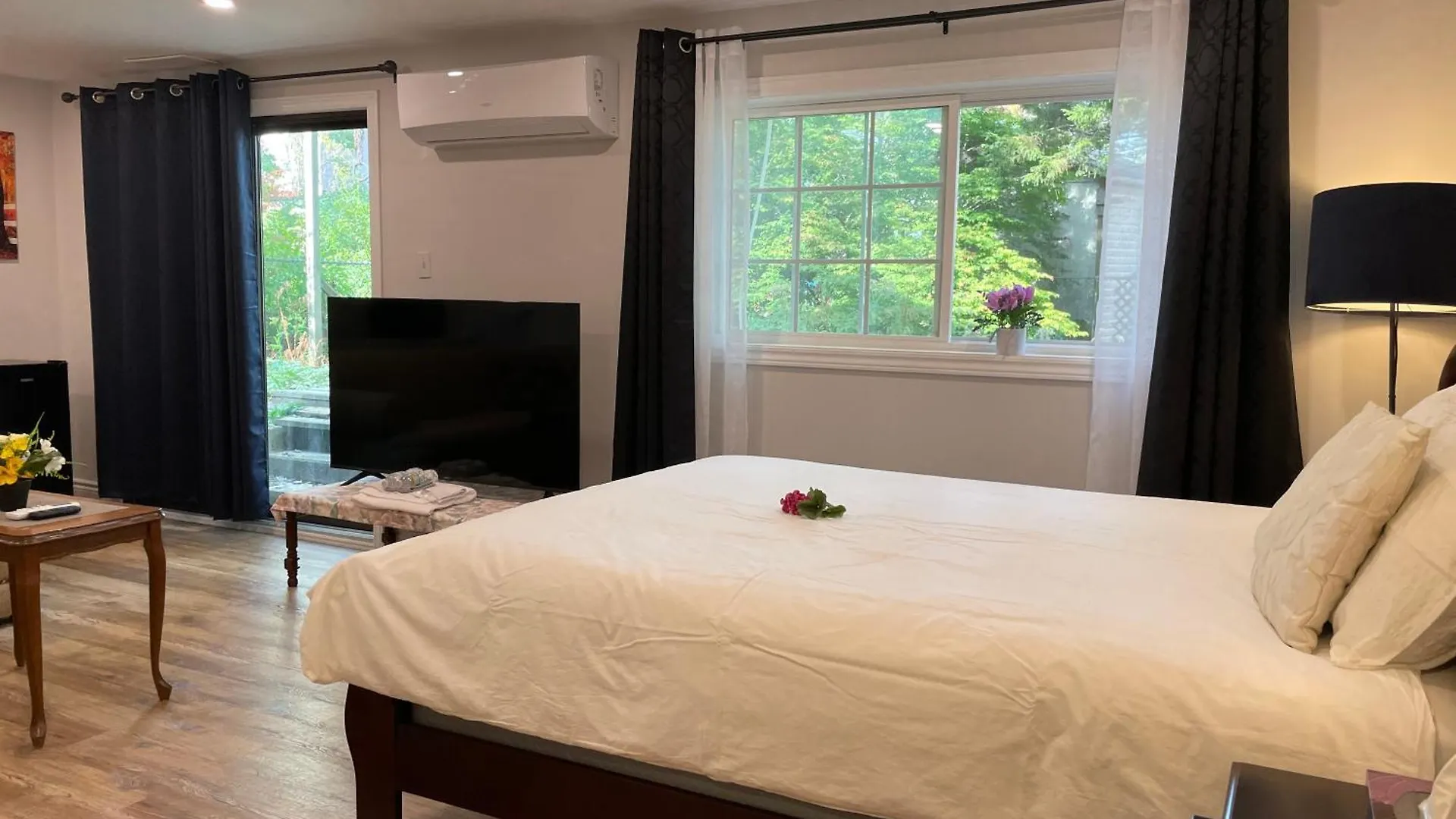 Quiet And Private Bachelor Unit Apartment Halifax Canada